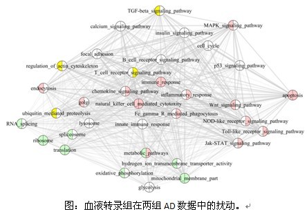 BG视讯·大游(集团)官方网站