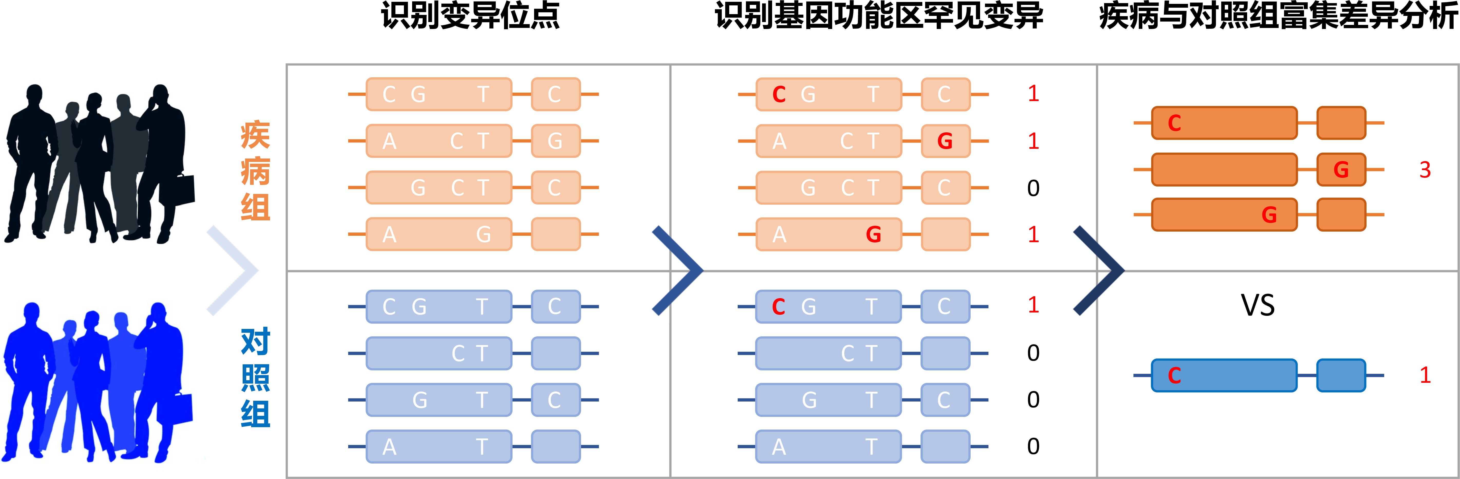 BG视讯·大游(集团)官方网站