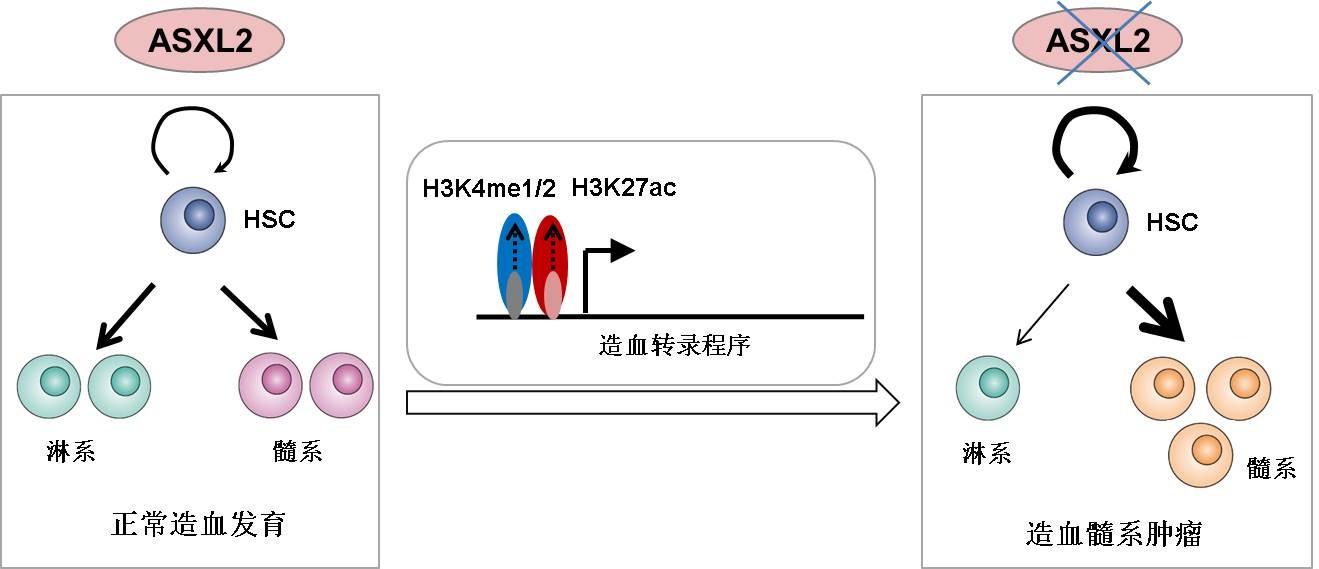 BG视讯·大游(集团)官方网站