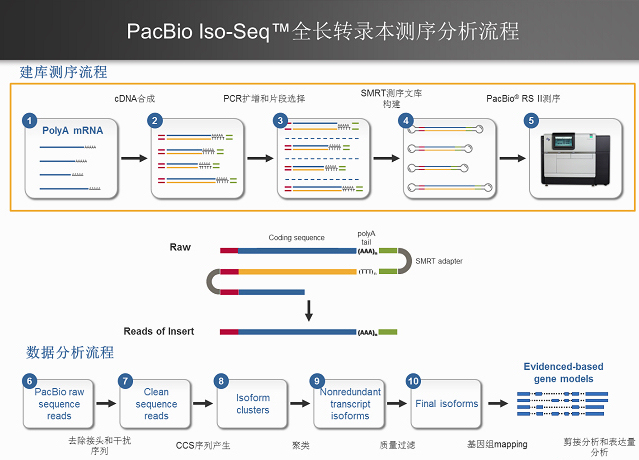 BG视讯·大游(集团)官方网站